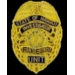 HAWAII STATE FIVE O INVESTIGATOR MINI BADGE PIN